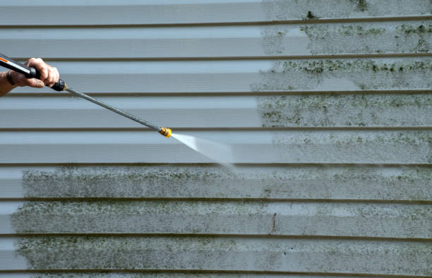 Best Window and Screen Pressure Cleaning in Stacy, MN